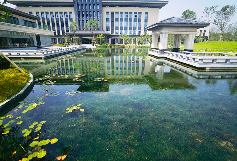 四川省委黨校（四川行政學(xué)院）彭州校區(qū)景觀湖(hú)水生态系統構建工(gōng)程