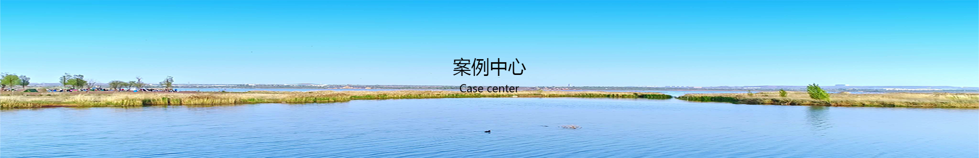 案例中(zhōng)心