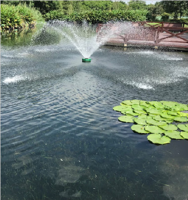 廣州白雲湖(hú)